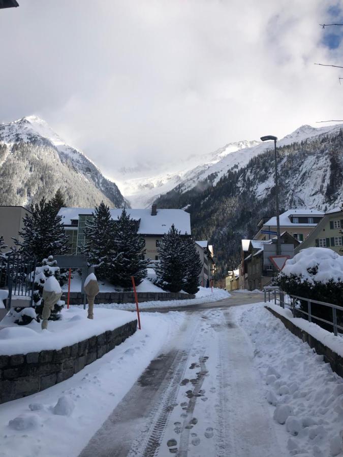 Alpine Haus Daire Göschenen Dış mekan fotoğraf