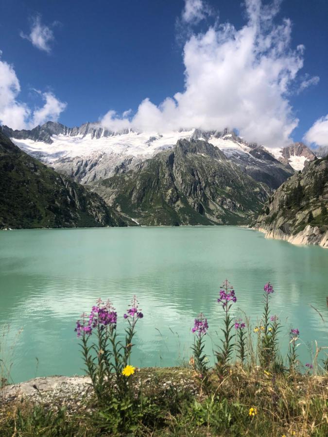 Alpine Haus Daire Göschenen Dış mekan fotoğraf